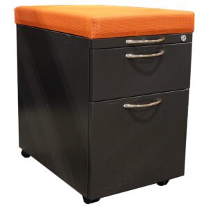 Introducing the AIS Dark Grey Mobile Pedestal with Orange Cushion Topper, a versatile and space-efficient storage solution for any modern workspace. With dimensions of 15"W x 22.5"D x 23.5"H, this pedestal offers ample room for documents and supplies while its mobile design ensures easy access and mobility. The addition of a vibrant orange cushion topper adds comfort and style, making it perfect for impromptu seating or as a footrest. Upgrade your office with this sleek and functional pedestal. Dimensions: 15"W x 22.5"D x 23.5"H