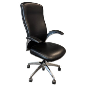 Used National Aurora Series High-Back Conference Chair – Black with Polished Aluminum X-Base Executive conference chair offering comfort and sophistication with a high-back design, black upholstery, and a polished aluminum X-base for stability and style. Black Upholstery  Polished aluminum X-base High-back  Fixed arms integrated into frame Dimensions: 27″W x 27″D x 47″H Ideal for conference rooms, executive offices, or collaborative meeting spaces.