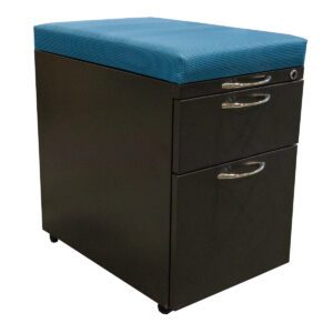 Introducing the AIS Dark Grey Mobile Pedestal with Blue Cushion Topper, a versatile and space-efficient storage solution for any modern workspace. With dimensions of 15"W x 22.5"D x 23.5"H, this pedestal offers ample room for documents and supplies while its mobile design ensures easy access and mobility. The addition of a vibrant blue cushion topper adds comfort and style, making it perfect for impromptu seating or as a footrest. Upgrade your office with this sleek and functional pedestal. Dimensions: 15"W x 22.5"D x 23.5"H
