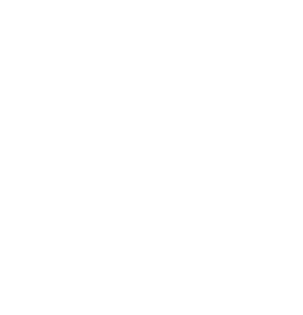 Liquidation Overview Video